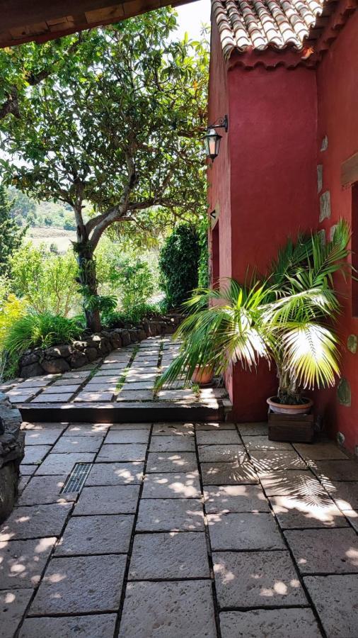 Casa Rural Con Piscina Privada El Roble 모야 외부 사진