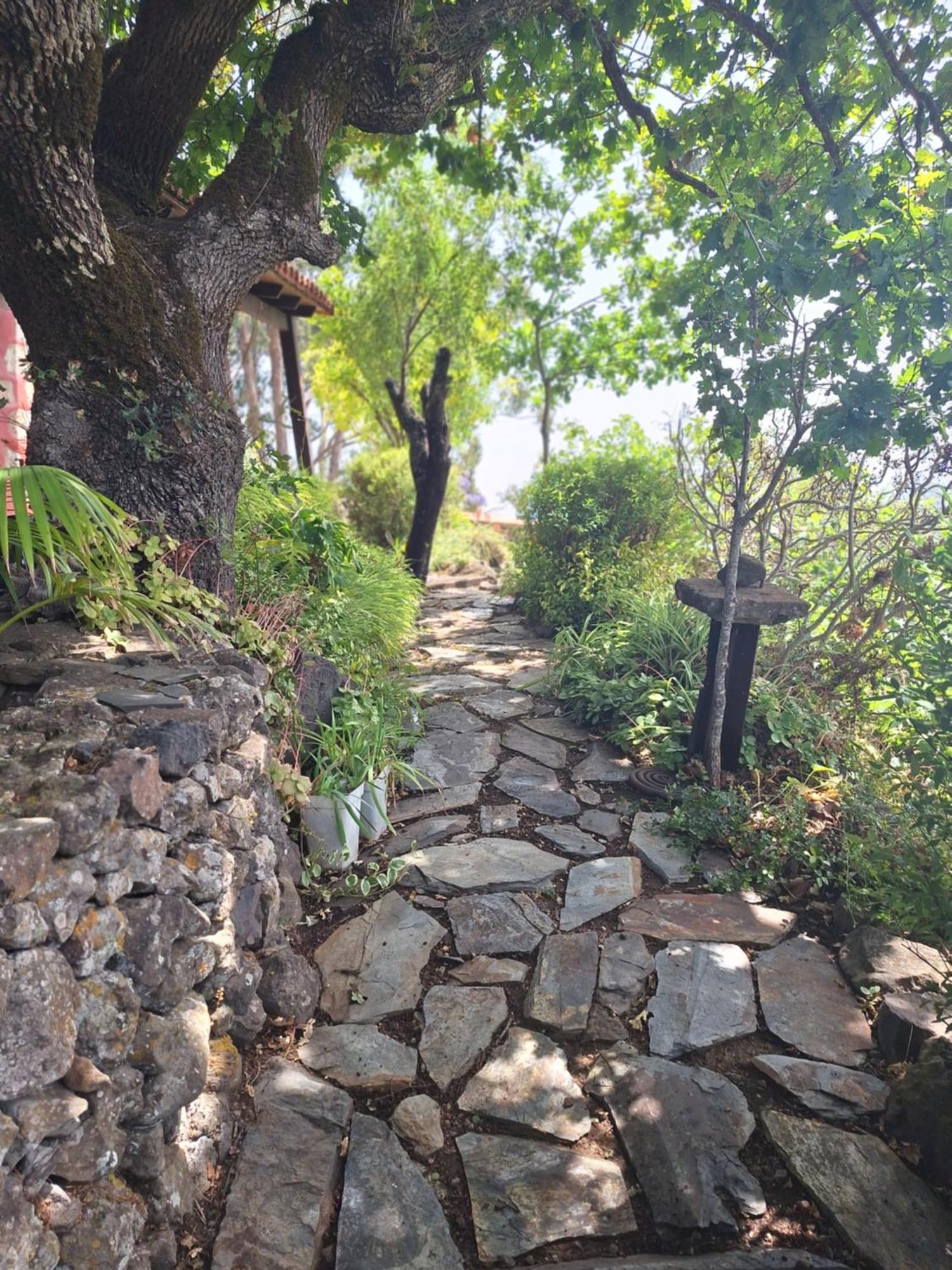 Casa Rural Con Piscina Privada El Roble 모야 외부 사진