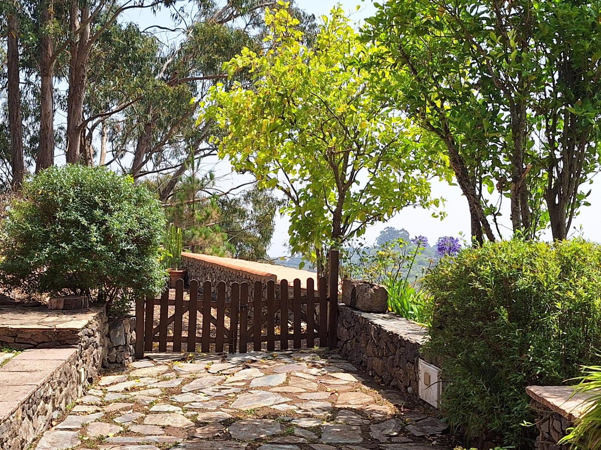 Casa Rural Con Piscina Privada El Roble 모야 외부 사진