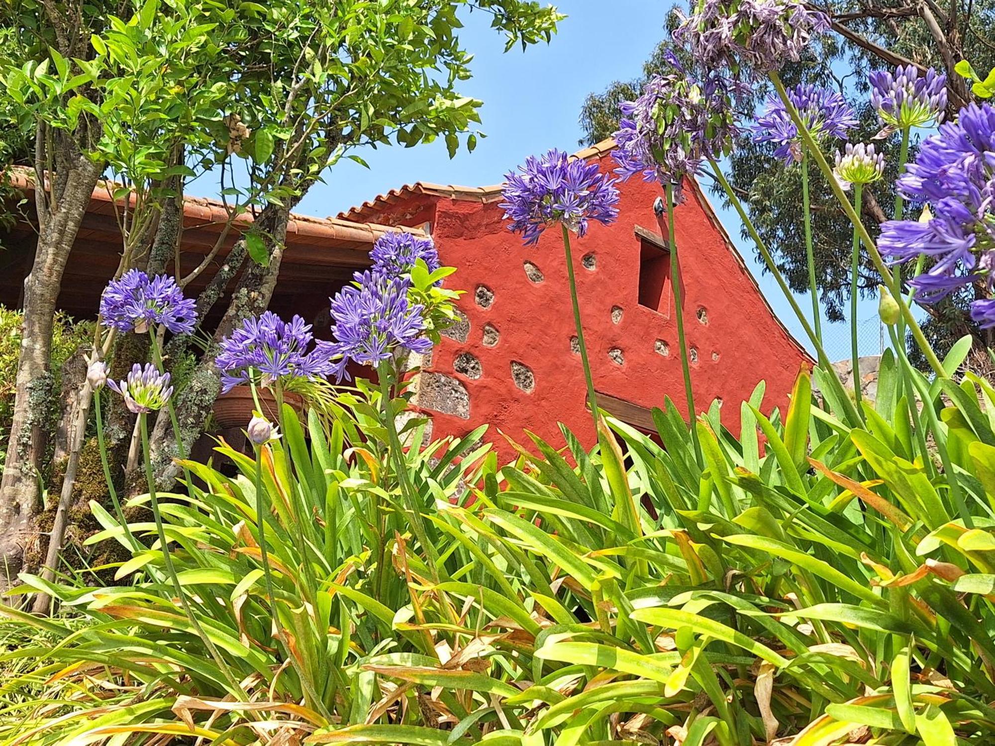Casa Rural Con Piscina Privada El Roble 모야 외부 사진