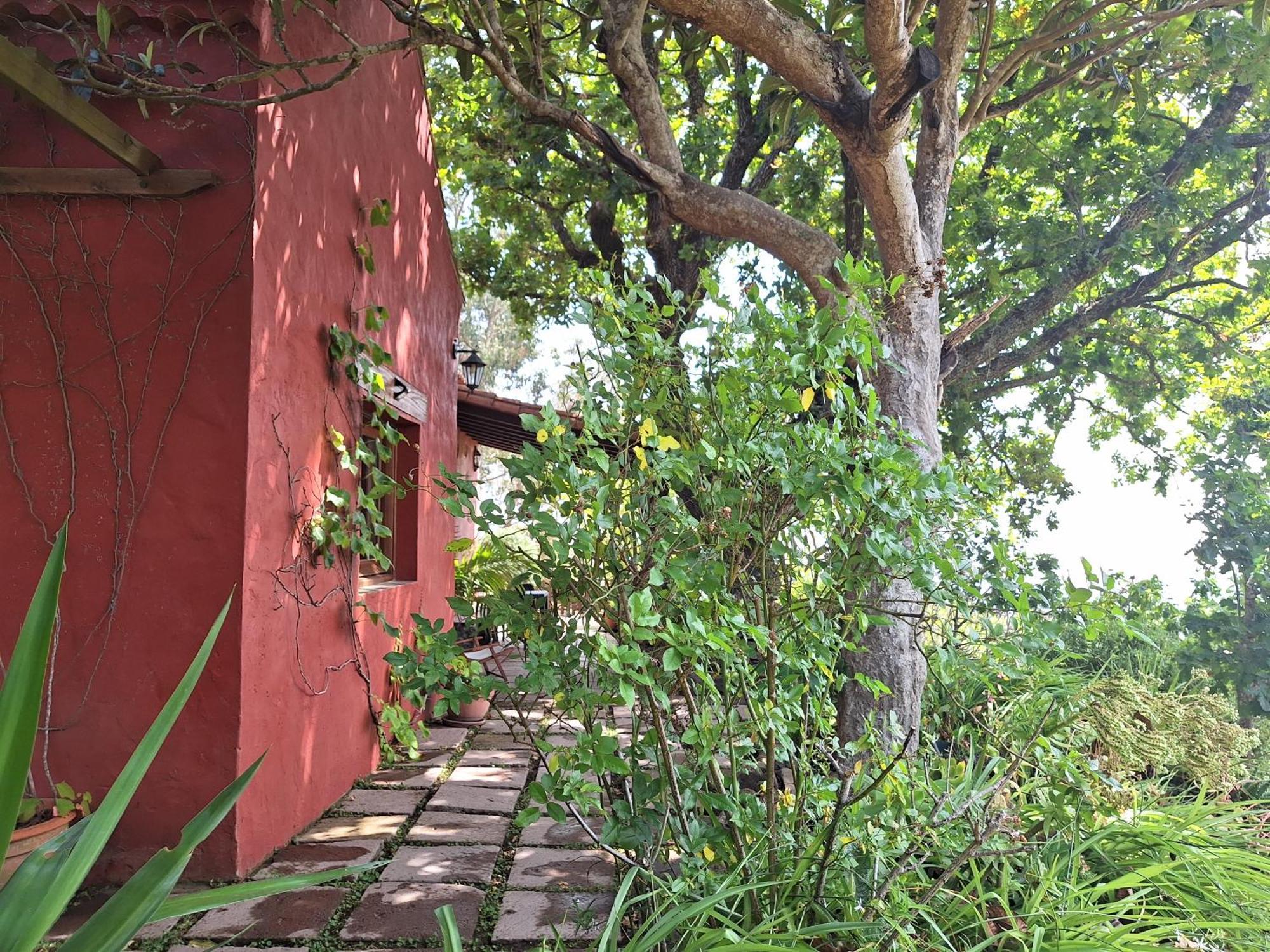 Casa Rural Con Piscina Privada El Roble 모야 외부 사진